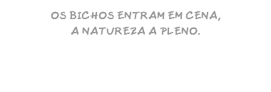 OS BICHOS ENTRAM EM CENA, A NATUREZA A PLENO.